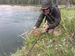 A nice Highwood River Cutthroat Trout.