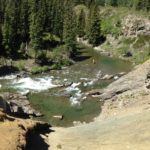 Photos from a Trout filled week!