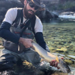 Pt. 2: Threats facing Bull Trout