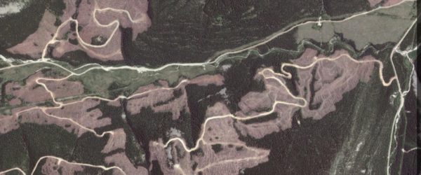 Forestry Roads and Trout Fishing: A Love-Hate Relationship
