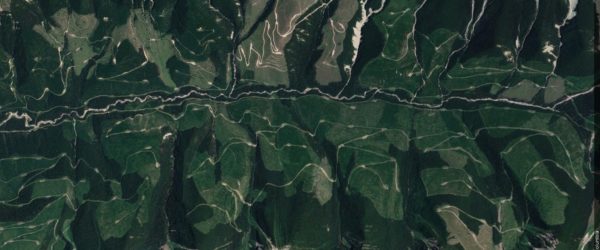 PT. II: Forestry Roads and Trout Fishing