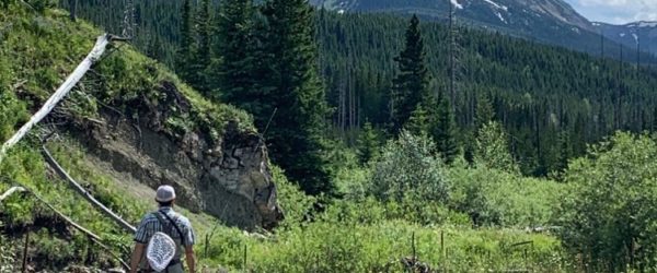 Coal Mines and Cutthroat Trout