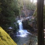 Kootenays