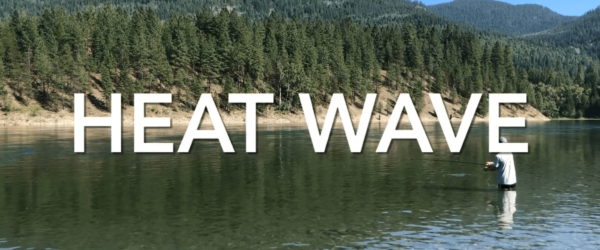 New Video: HEAT WAVE