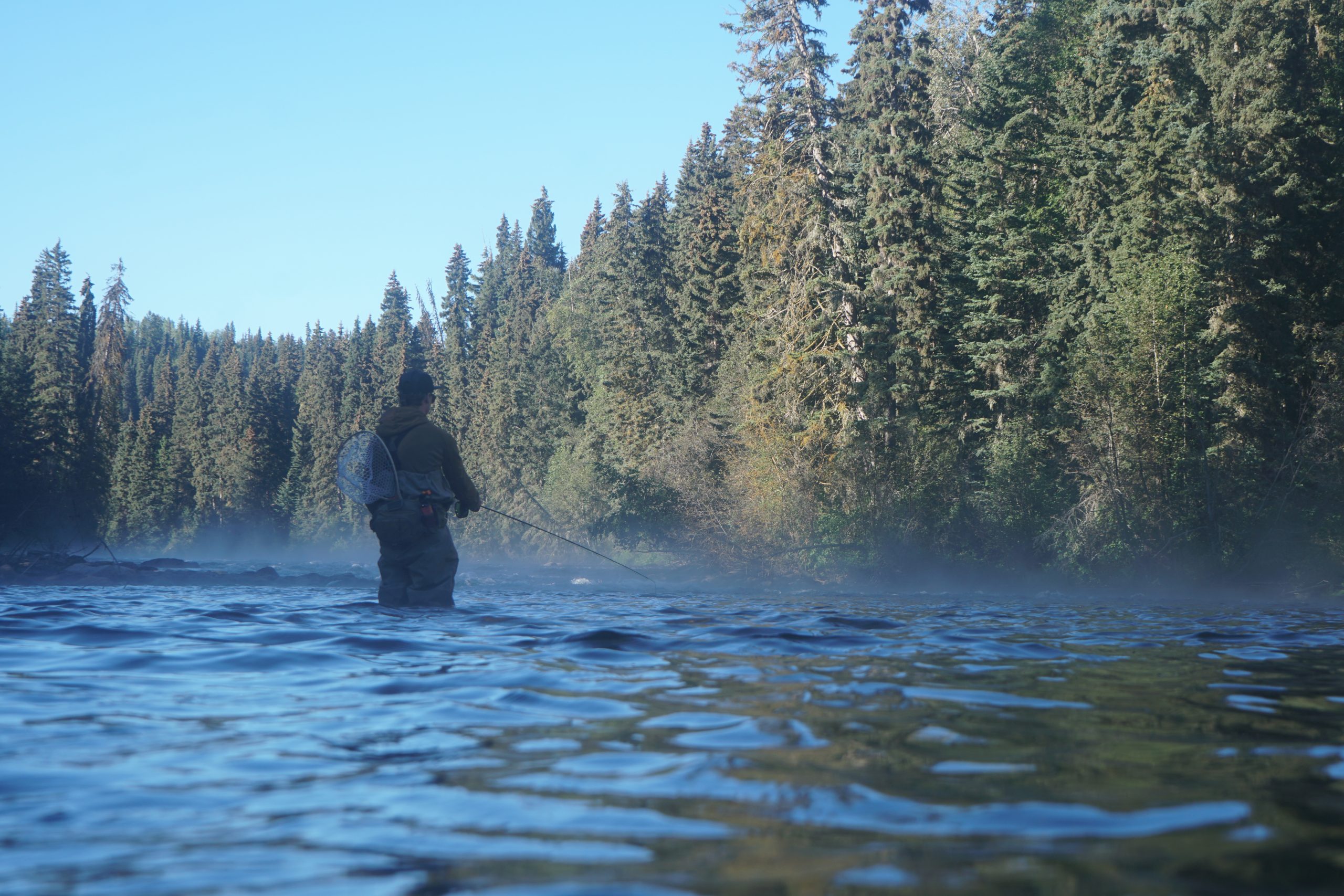The Promised Land FlyFishing the Stellako River The Bushwhackers