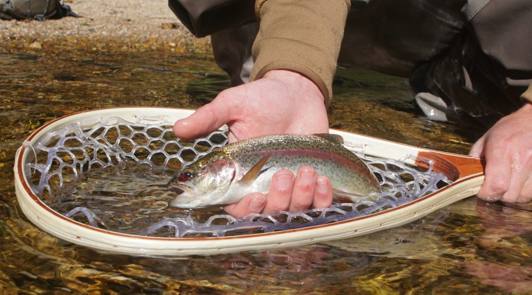 Fly-Fishing Ethics: Is Catch and Release Cruel?
