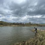 State of Alberta's Trout: Cutthroat Trout Pt. III