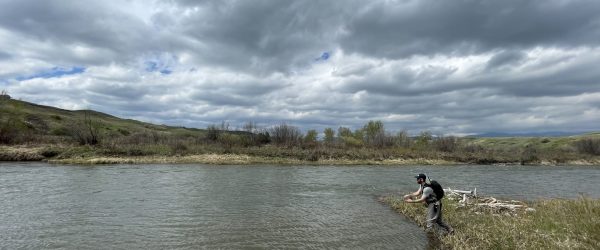 State of Alberta’s Trout: Cutthroat Trout Pt. III