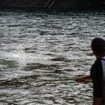 In Search of Steelhead: A Recap of Fall 2024