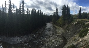 Backcountry Gems