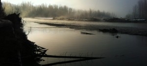 The Kootenays